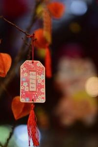 phỏm di động F8bet
